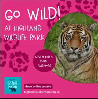 Go wild at Highland Wildlife Park