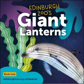 Edinburgh Zoo Giant Lanterns advert